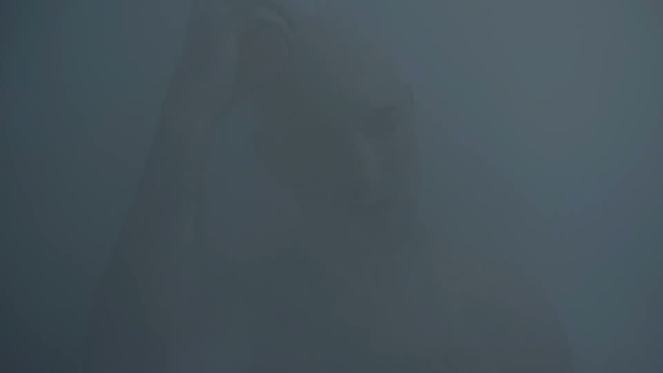 End of History Part 1 frame 2
